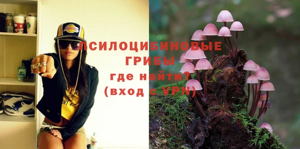 прущая мука Верея