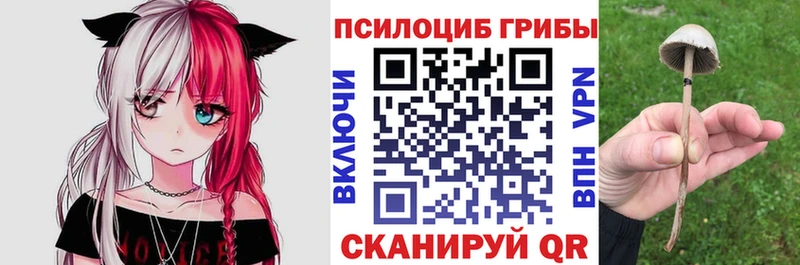 Галлюциногенные грибы мухоморы  Афипский 