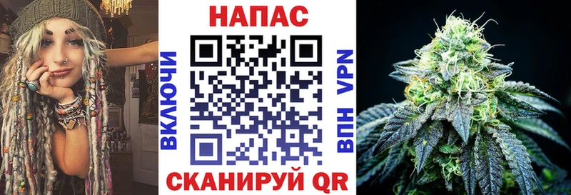 Каннабис OG Kush  Афипский 